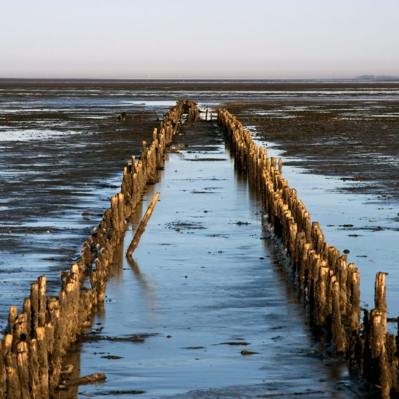 UNESCO World Heritage Sites i Denmark - Vadehavet, vestjylland