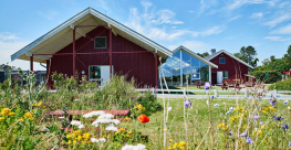 Danhostel Ishøj strand - Ude med blomster 