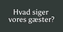 Hvad siger vores gæster
