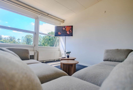 Moderne fællesstue med sofaer og tv