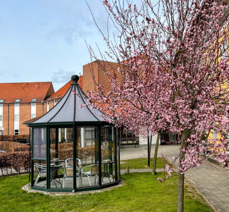 svendborg gård