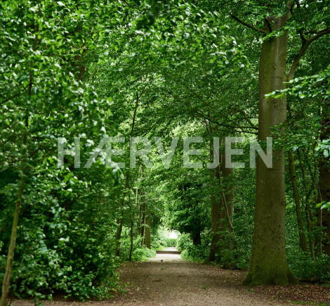 Vandretur på Hærvejen - Vandreruter