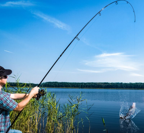 Skønne lystfisker oplevelser i Danmark