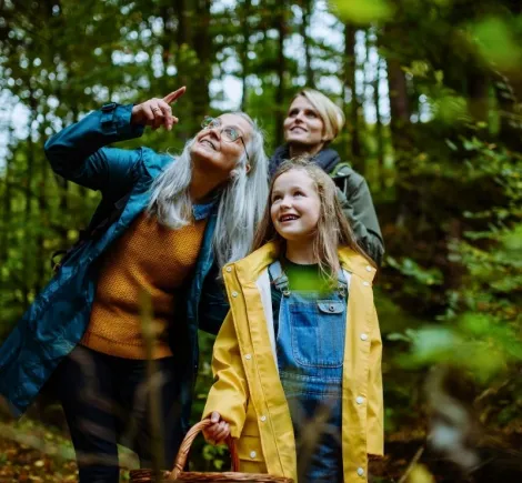 Vandretur på Hærvejen - guide og gode råd