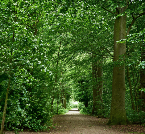 Walk the Historic Hærvejen Route Through Jutland