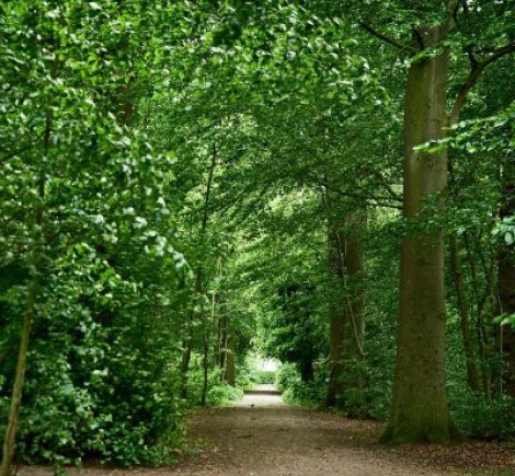 Vandretur på Hærvejen - Vandreruter