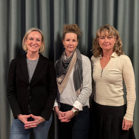  Maria Beck-Tange, Kirsten Munch Andersen, Pernille Kofod Lydolph