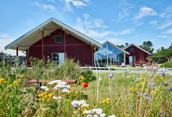Danhostel Ishøj strand - Ude med blomster 