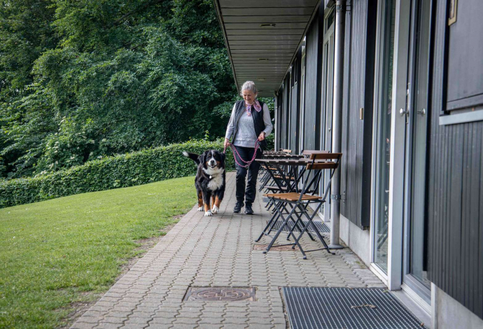 Dog-Friendly Holiday Ideas in Denmark