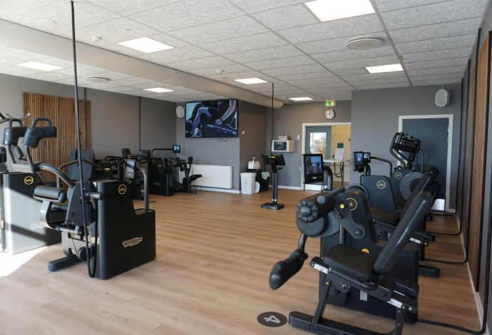 fitness ribe