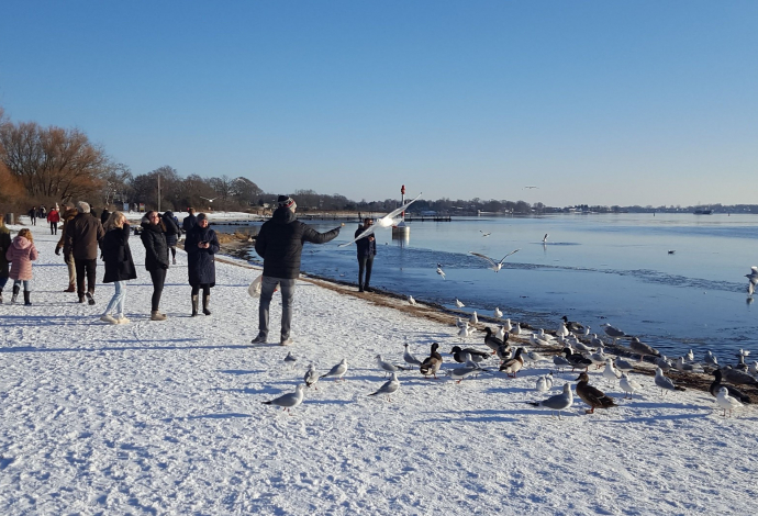 Danhostel SVendborg - vinter