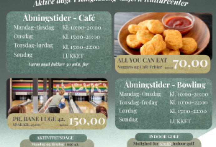 Danhostel skjern