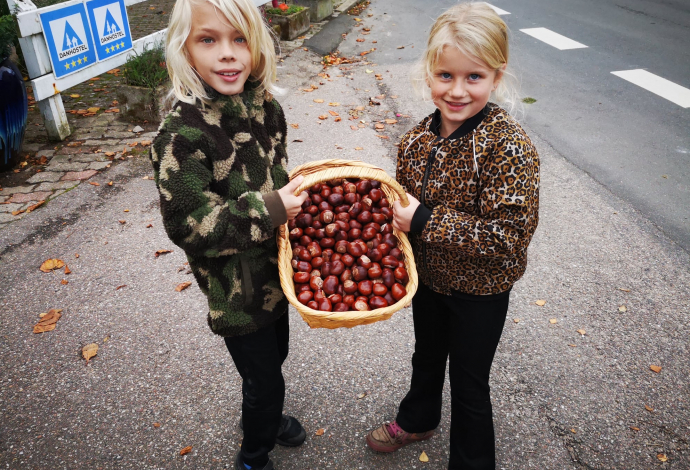 Sønderborg hytte