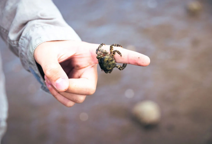 Danhostel Tønder Byferie