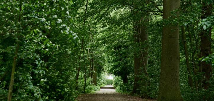 Walk the Historic Hærvejen Route Through Jutland