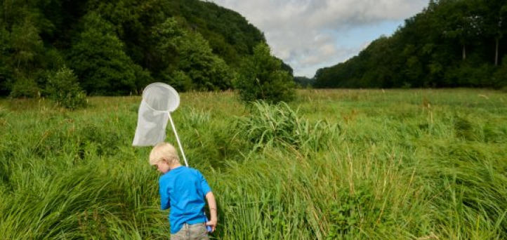 Guides til ferie med børn