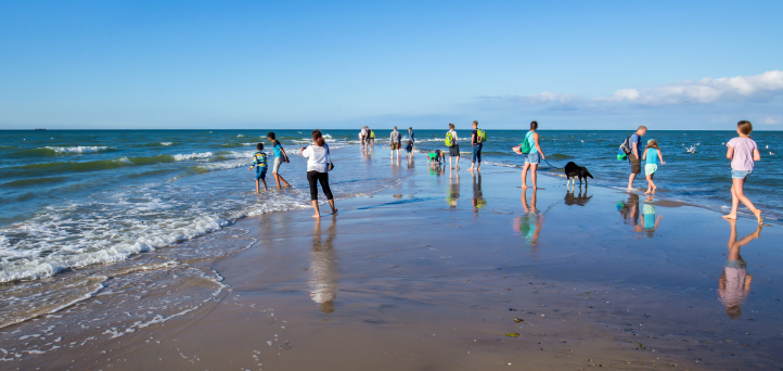 Explore Denmark - guides 