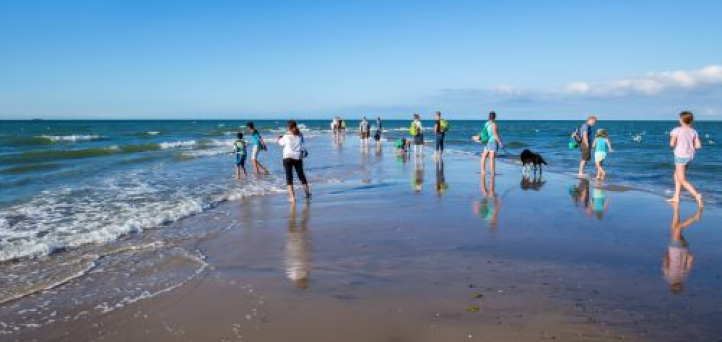 Explore Denmark - guides 