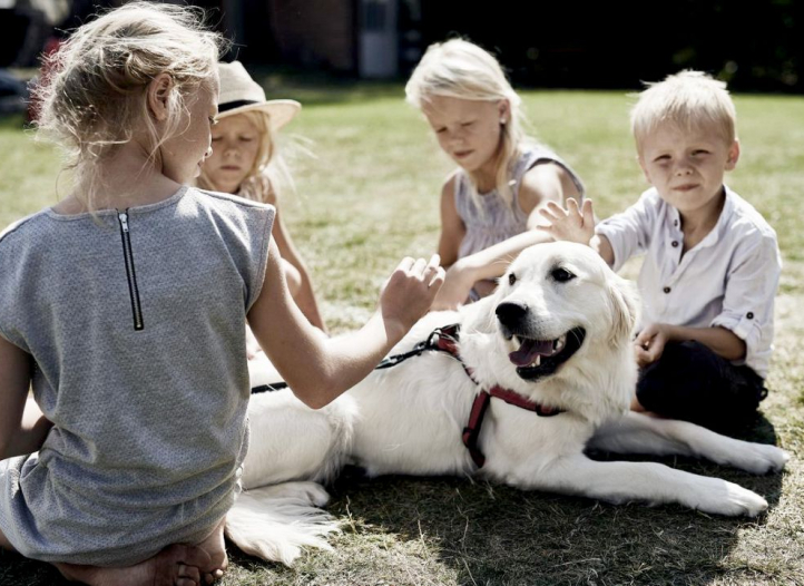 Tag din hund med