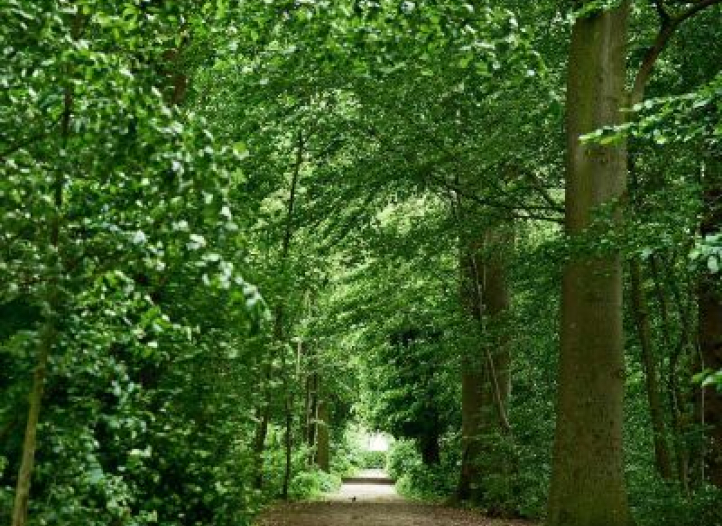 Vandretur på Hærvejen - Vandreruter