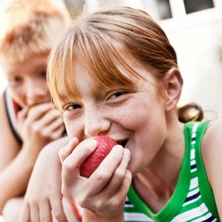 Skoletjenesten: Lejrskole inspiration