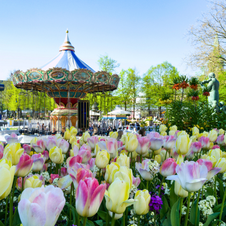 Discounts on Sights and Accommodation