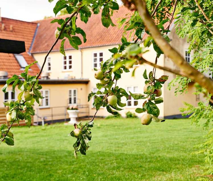 Danhostel Ringsted